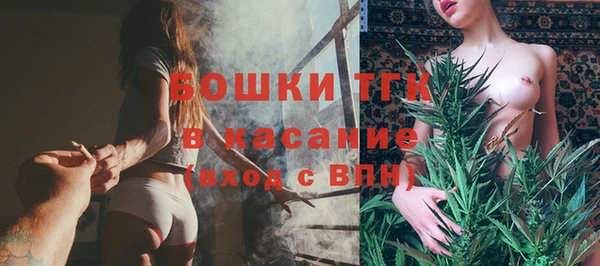 ешки Арсеньев