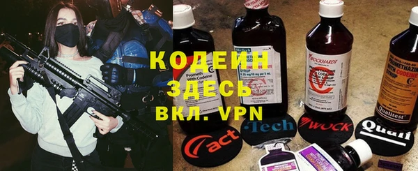 ешки Арсеньев