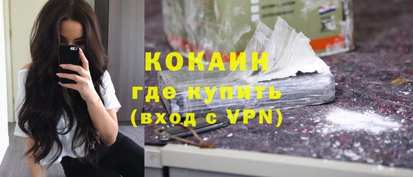 ешки Арсеньев