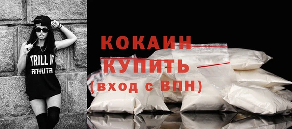 прущие грибы Аркадак