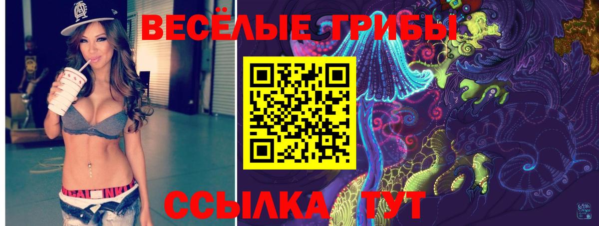 Псилоцибиновые грибы MAGIC MUSHROOMS Гуково