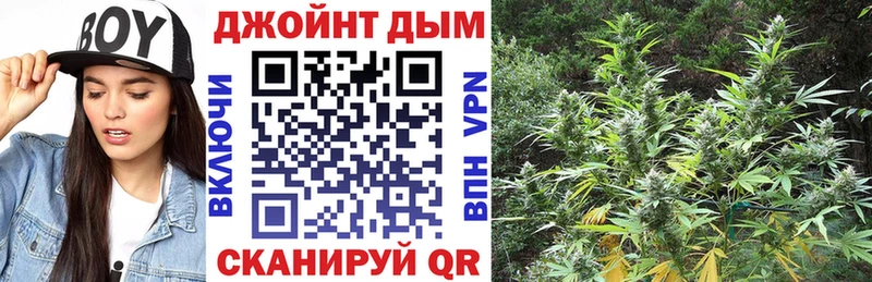Бошки Шишки сатива  закладка  Гуково 